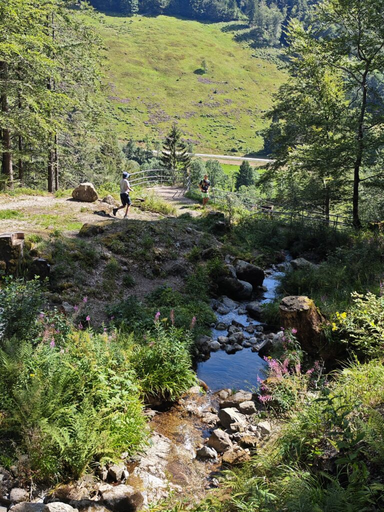 Aussicht Fahler Wasserfall