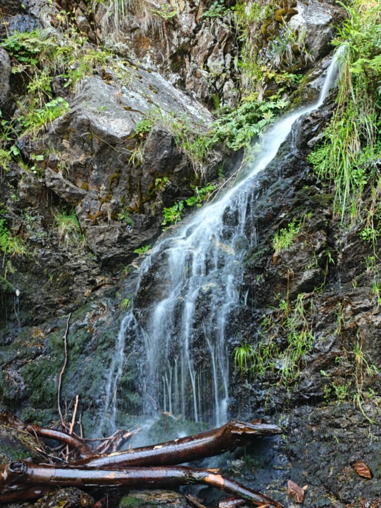 Wildes Wasser am Fahler Wasserfall